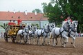 Foto: Dalibor Gregor