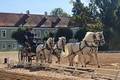 Línek: Každá památka UNESCO musí mít daná přesná pravidla fungování