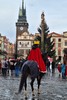 Tříkrálová sbírka