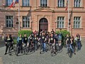 Krajští úředníci šetří přírodu a prohánějí těla. Letos je jich rekordní počet