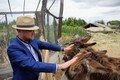 Nedaleko Vysokého Mýta vzniká zoologická zahrada.