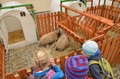 Z oslavy dožínek na pardubickém zámku. Foto: Ivan Hudeček.