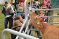 Z oslavy dožínek na pardubickém zámku. Foto: Ivan Hudeček.