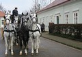 Náves před hřebčínem se vrací k původní kráse