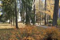Kolem léčebny je krásný park
