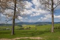 Pardubický kraj zapojuje veřejnost do přípravy územní studie. Lidé mohou označit hodnotná místa v krajině