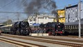 Letohrad se zahalil do páry. Největší setkání parních vlaků v Česku přilákalo železniční nadšence