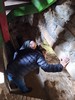 Hradní komora vydala zajímavé archeologické nálezy