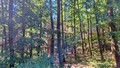 Rodinný park