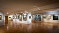 Stálá expozice - Reflexe krajiny a přírody