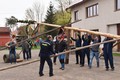 Stavění máje v obci Červená, 2022. Foto Kulturní centrum Letohrad - Marie Minářová
