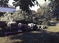 Zničená socha v Tatenicích