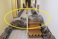 Zbytky vnějšího opevnění města v suterénu krajského úřadu