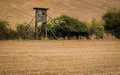 Podpora výzkumu nebo kurzů pro myslivce. Kraj fandí vědě a vzdělání