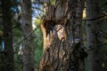 Pardubický kraj podpořil projekty konkrétních opatření na ochranu přírody